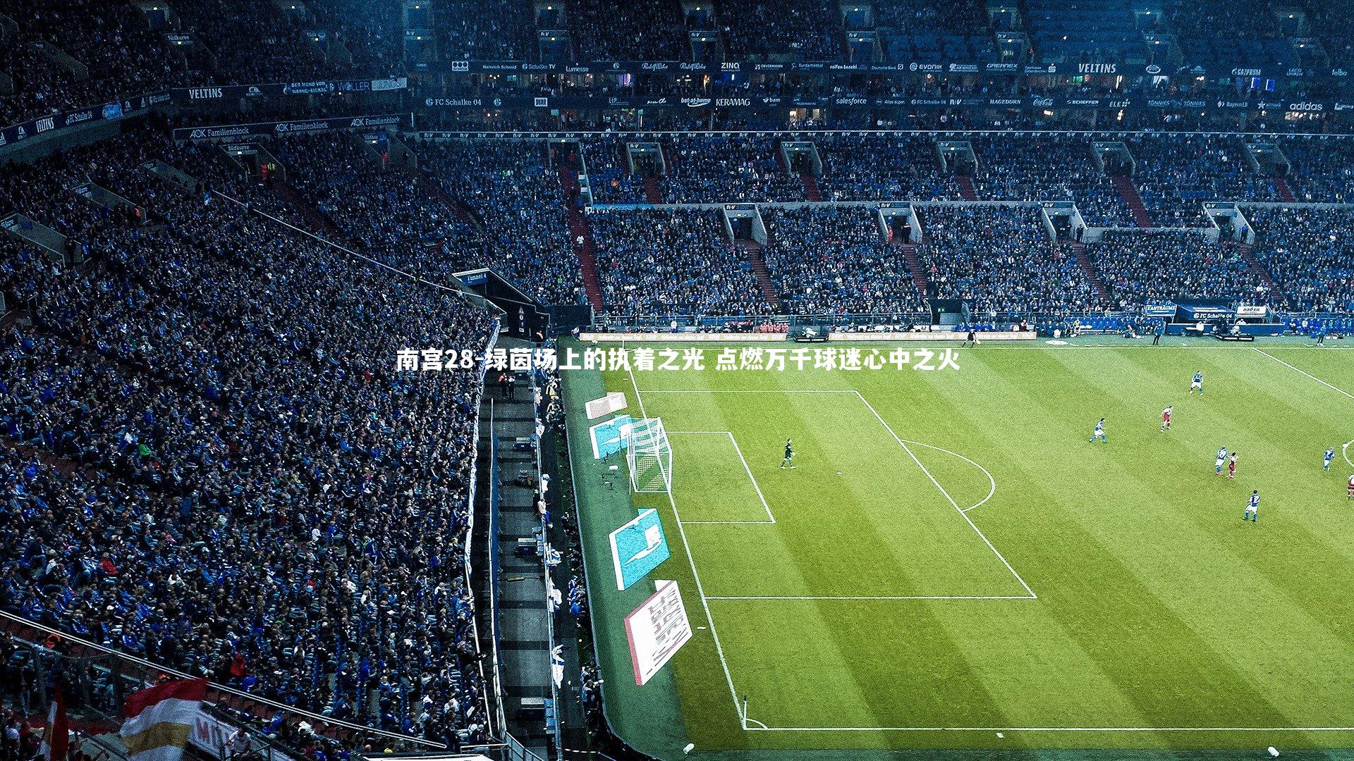 绿茵场上的执着之光 点燃万千球迷心中之火